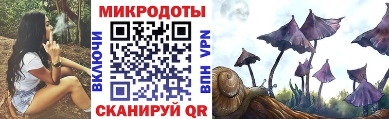 Псилоцибиновые грибы ЛСД Новоузенск